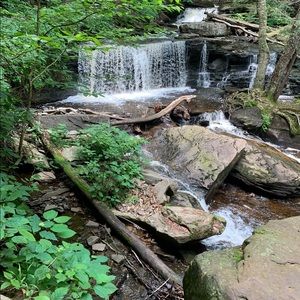 Meet your Posher, Jenn